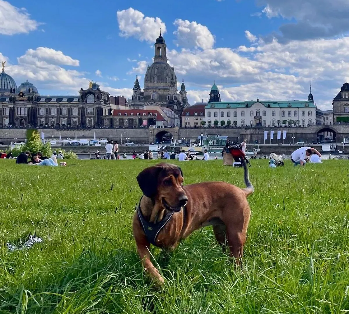 Ferienwohnung Fuer 5 Personen Dresden Lejlighed
